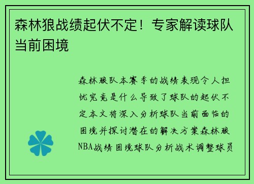 森林狼战绩起伏不定！专家解读球队当前困境